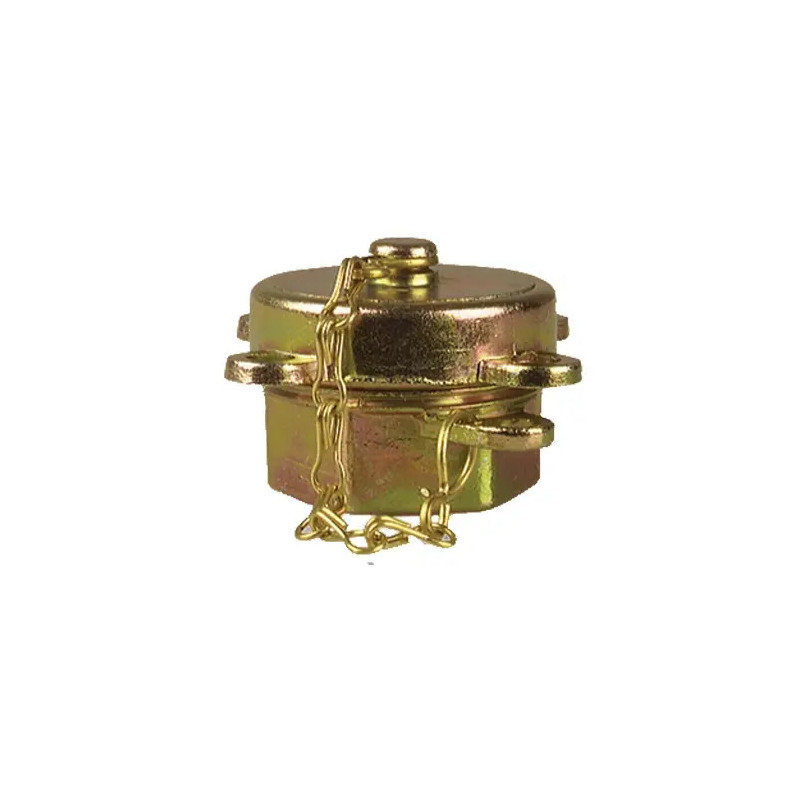 AFRISO Zamknięcie rury do sondowania, GW G1" x GW G1 1/4" 20464 AFRISO Zamknięcie rury do sondowania, GW G1" x GW G1 1/4" 20464